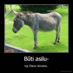 Būti asilu- - irgi Dievo dovana..