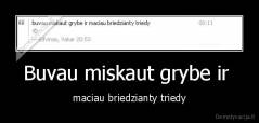 Buvau miskaut grybe ir  - maciau briedzianty triedy