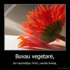 Buvau vegetarė, - kol nepradėjau linkti į saulės šviesą.