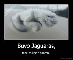Buvo Jaguaras, - tapo sniegine pantera.