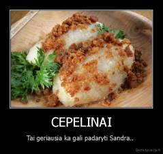 CEPELINAI - Tai geriausia ka gali padaryti Sandra.. 