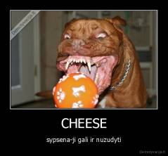 CHEESE - sypsena-ji gali ir nuzudyti