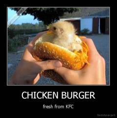 CHICKEN BURGER - fresh from KFC