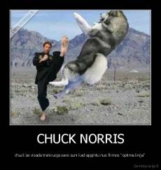 CHUCK NORRIS - chuck'as visada treniruoja savo suni kad apgintu nuo firmos ''optima linija''