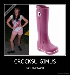 CROCKSU GIMUS - BATU NETAPSI