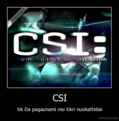 CSI - tik čia pagaunami visi tikri nusikalteliai