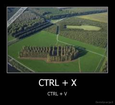 CTRL + X - CTRL + V