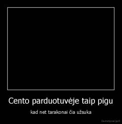 Cento parduotuvėje taip pigu - kad net tarakonai čia užsuka