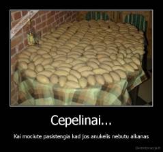 Cepelinai... - Kai mociute pasistengia kad jos anukelis nebutu alkanas
