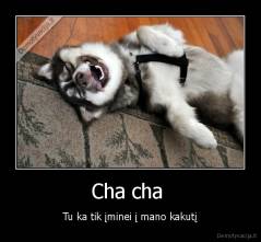 Cha cha  - Tu ka tik įminei į mano kakutį