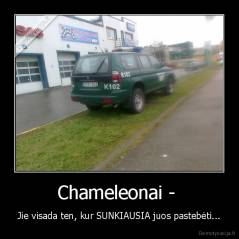 Chameleonai -  - Jie visada ten, kur SUNKIAUSIA juos pastebėti...