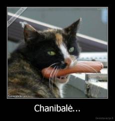 Chanibalė... - 