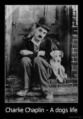 Charlie Chaplin - A dogs life - 