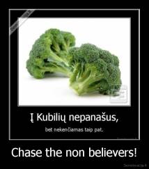 Chase the non believers! - 