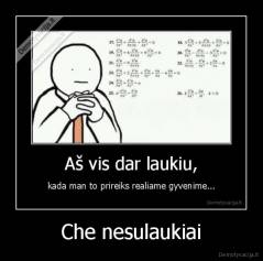 Che nesulaukiai - 