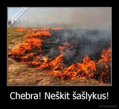 Chebra! Neškit šašlykus! - 