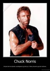 Chuck Norris - Chuckui Norrisui įkando nuodingiausia gyvatė po 3 dienų skausmo gyvatė nudvesė..