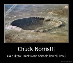 Chuck Norris!!! - Cia nukrito Chuck Noris beisbolo kamoliukas:)