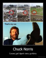 Chuck Norris - Cunamį gali išgerti vienu gurkšniu