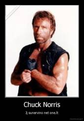Chuck Norris - Jį sunervino net one.lt