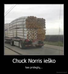 Chuck Norris ieško - kas pridegtų...