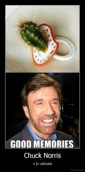 Chuck Norris - ir jo vaikystė