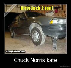 Chuck Norris kate - 