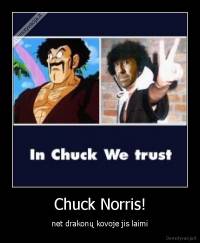 Chuck Norris! - net drakonų kovoje jis laimi