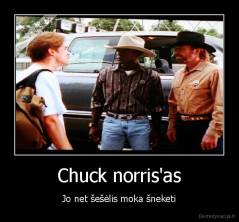 Chuck norris'as - Jo net šešėlis moka šneketi