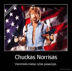 Chuckas Norrisas - Vienintelis kietas ryžas pasaulyje.