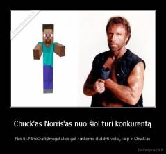 Chuck'as Norris'as nuo šiol turi konkurentą - Nes tik MineCraft žmogeliukas gali rankomis skaldyti viską, kaip ir Chuck'as