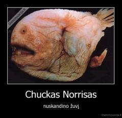 Chuckas Norrisas - nuskandino žuvį