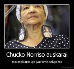 Chucko Norriso auskarai - maximali apsauga įvairiomis sąlygomis