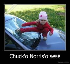 Chuck'o Norris'o sesė - 