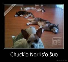 Chuck'o Norris'o šuo - 
