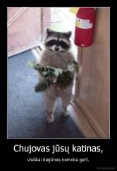 Chujovas jūsų katinas, - visiškai degtinės nemoka gert.