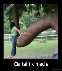 Cia tai tik medis - 