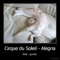 Cirque du Soleil - Alegria - Katė - gyvatė 