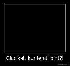 Ciucikai, kur lendi bl*t?! - 