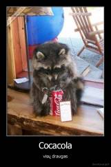 Cocacola - visų draugas