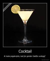 Cocktail - Ar kada pagalvojote, kad jūs geriate Gaidžio uodegą? 