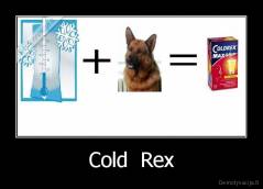 Cold  Rex - 
