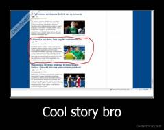 Cool story bro - 