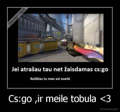 Cs:go ,ir meile tobula 