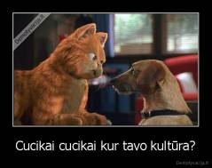 Cucikai cucikai kur tavo kultūra? - 