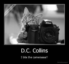 D.C. Collins - I bite the cameraaaa!!