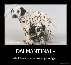 DALMANTINAI - - turbūt taškuočiausi šunys pasaulyje :P