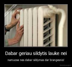 Dabar geriau sildytis lauke nei - namuose nes dabar sildymas dar brangesnis!