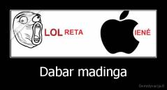 Dabar madinga - 