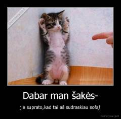 Dabar man šakės- - jie suprato,kad tai aš sudraskiau sofą!